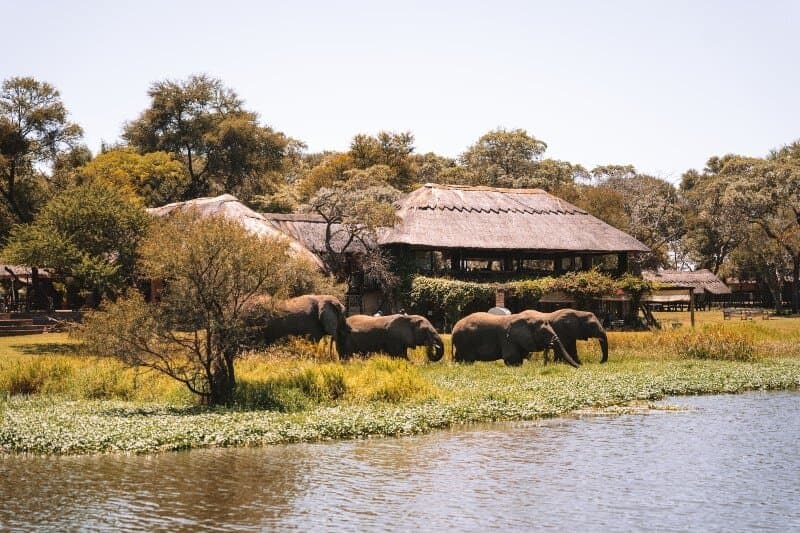 Antelope Park