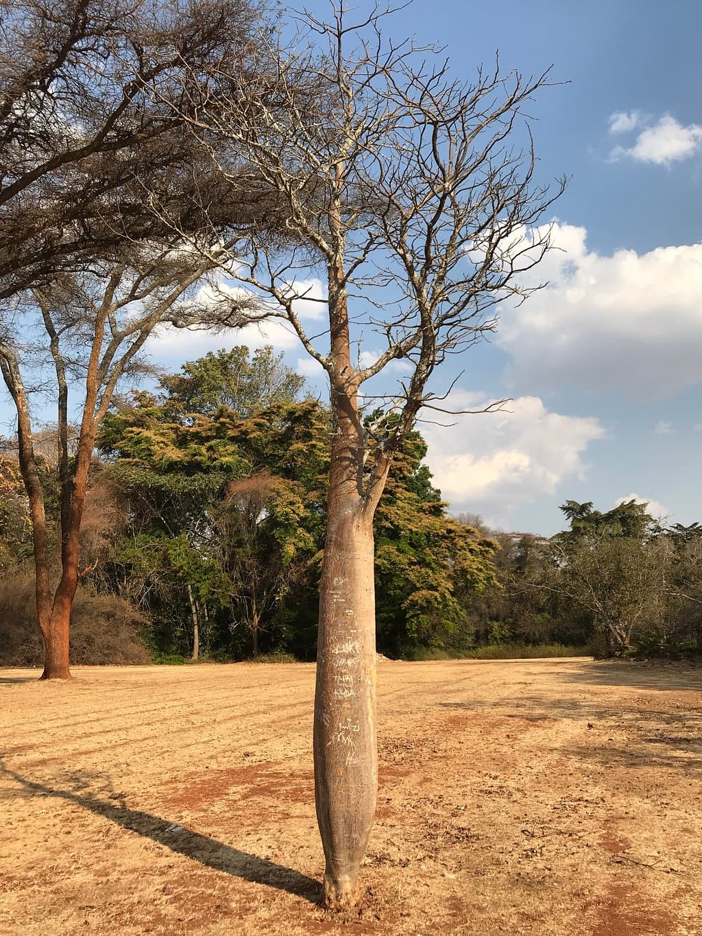 National Botanical Gardens